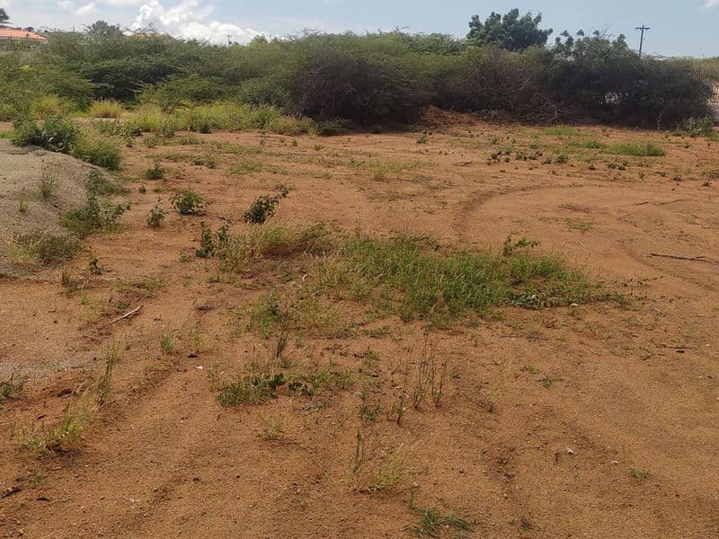 2 Property Land (Eigendom) by Sabana Blanco