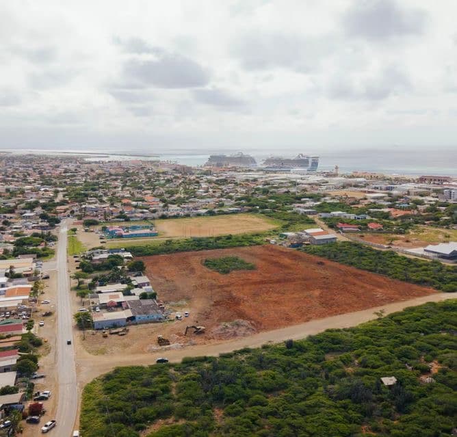 Lot 42 Bushiri Dreams - 2
